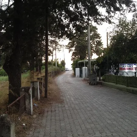 Gelincik