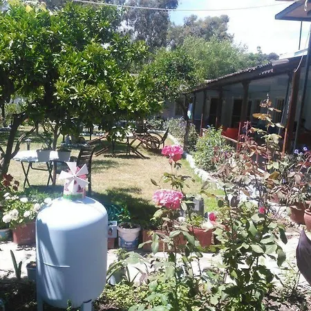 Gelincik Orhaniye (Marmaris)